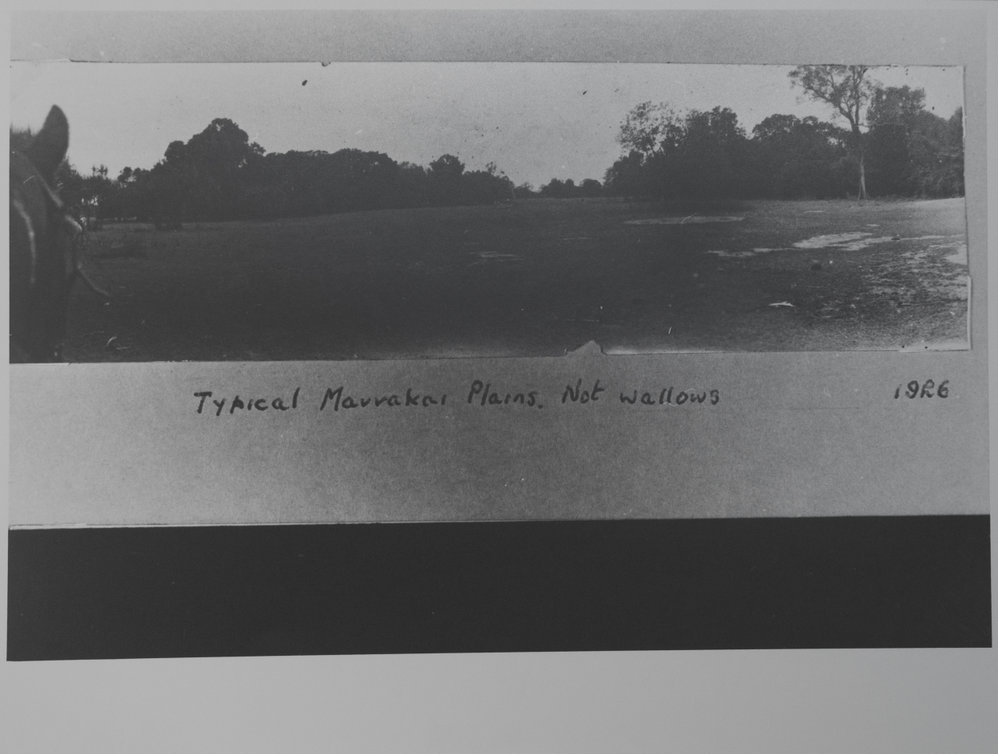 Typical Marrakai Plains