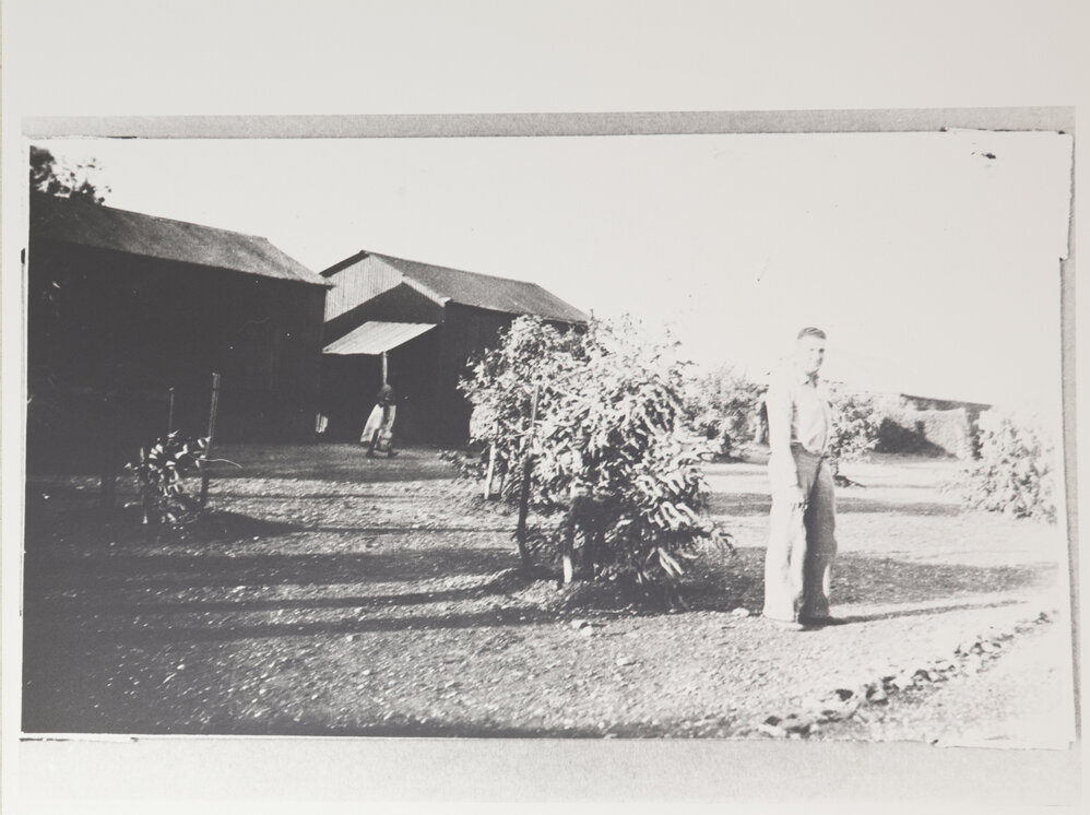 Harvey the bookkeeper