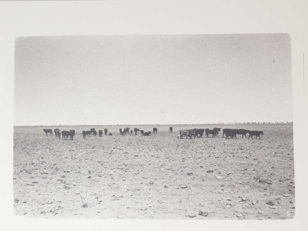 No. 10 Bore - Drought 1