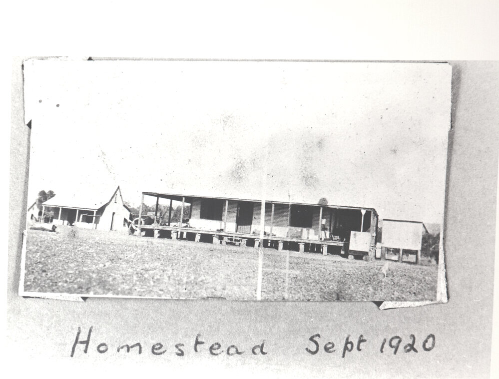 Homestead 12