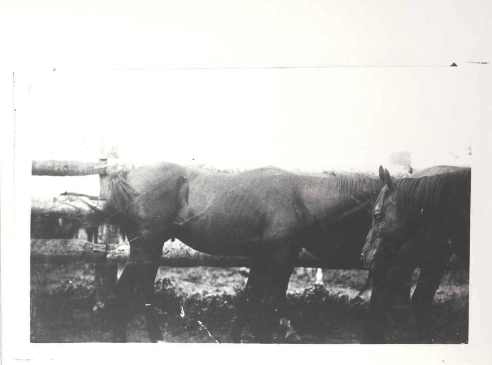 B.P. Recently Arrived