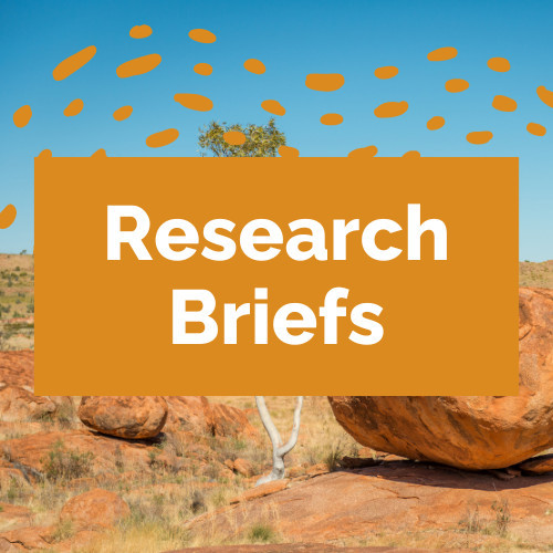 Northern Institute Research Briefs
