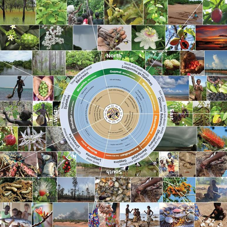 GURRUWILYUN YOLNU SEASONS - GAWA POSTER: THE CHANGING SEASONS IN EAST ARNHEMLAND