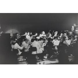 Darwin Pops night 14