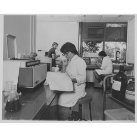 Students in the Chemistry Laboratory