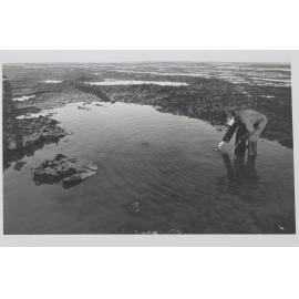 Researcher collecting specimans in the field