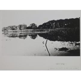 Waterhole