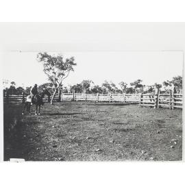 Cattle yards near station