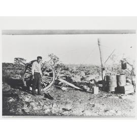 The cook and the pharmacist