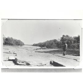 Weaner Crossing on the Victoria River