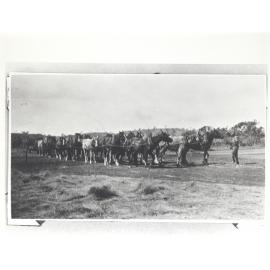 Fireplough and station team
