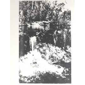 Kathleen Falls - Flora River 1