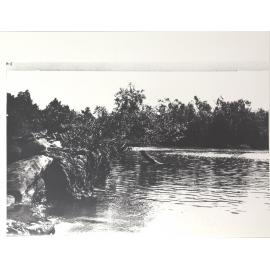 Lowe Pool - Flora River