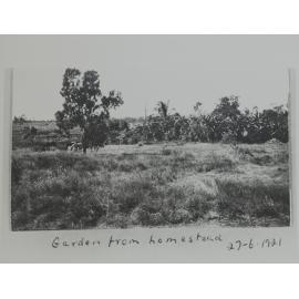 View of garden from homestead