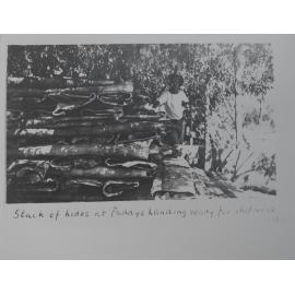 Stacks of hides at Paddy landing ready for shipment