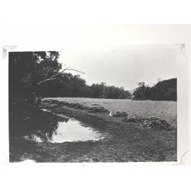 A " Mickerie" or Trench for watering Stock. Eagle Hawk Gorge