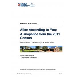 Alice According to You: A snapshot from the 2011 Census