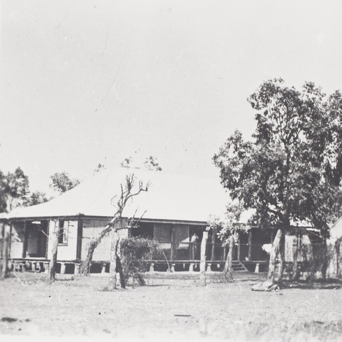 Halls Creek Area