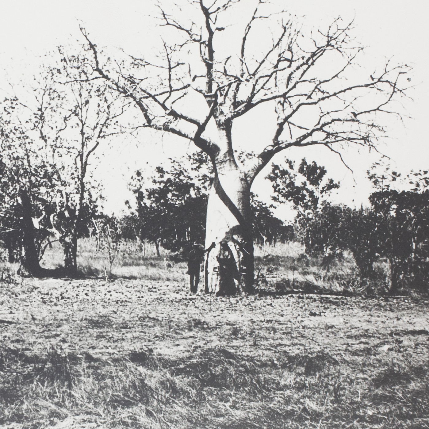 Wyndham Area - Cockatoo Sands