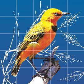 Would that we could fly and sing forever