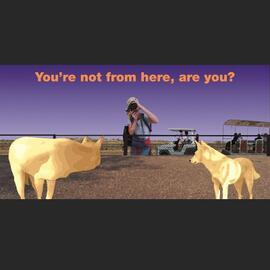 You’re not from here, are you?