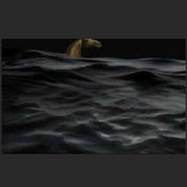 Floods