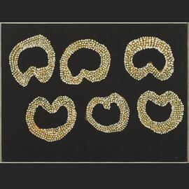 Walka Nyutitjara (Men's ceremonial design)