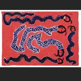 Liru munu kunija (Poisonous snakes & carpet snakes)