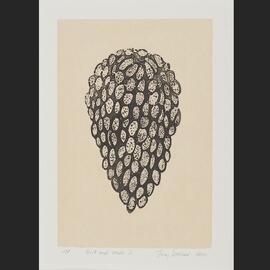 Fruit and seeds 2