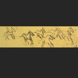 Brumby muster