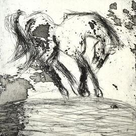 Horse at Docker River