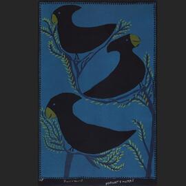 Durrani [Black cockatoo]