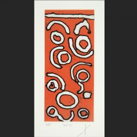 Door 30, Wagarlakurlu, janganpakurlu manu parrkurlu [Crow, possum and dawn]