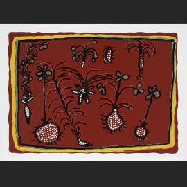 Karrbarda, kohlbun [Yam, fish and poison plant]