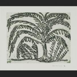 Djendek [Livistonia plam; sand palm]