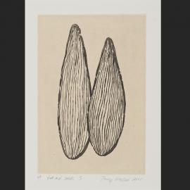 Fruit and seeds 3