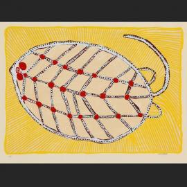 Stingray
