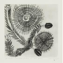 Marebu and man-bulubi (Pandanus mat and bush potato)