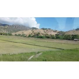 Bus view to Baccau.mp4