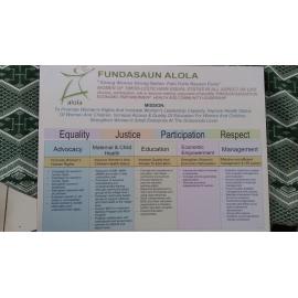 Mission Alola foundation