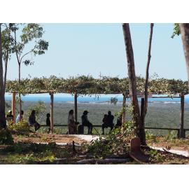 Garma Festival 2013 11