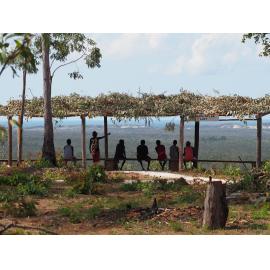 Garma Festival 2013 22