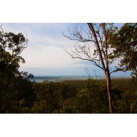 Garma Festival 2013 110