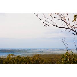 Garma Festival 2013 111