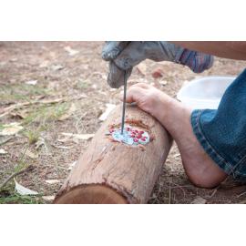 Garma Festival 2013 118