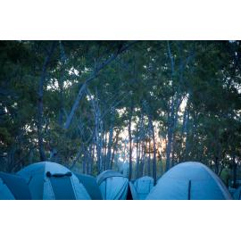 Garma Festival 2013 144