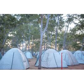 Garma Festival 2013 145