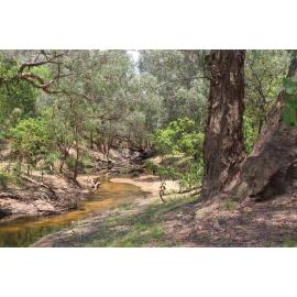 GOO outing creek