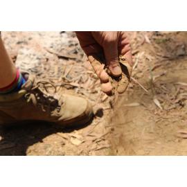 GOO outing soil sample