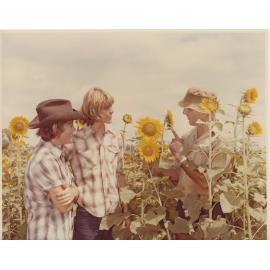 Group in sunflower field, KRC